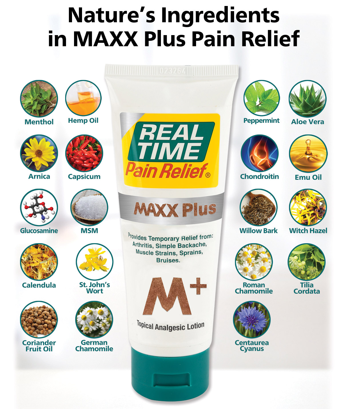 Maxx plus