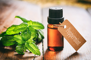 6 Reasons to Love Peppermint Oil