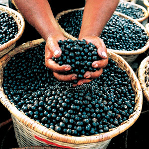 acai-berries