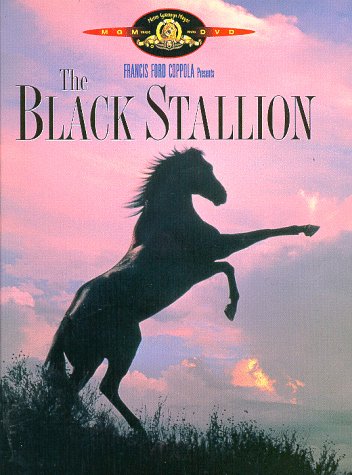 the-black-stallion