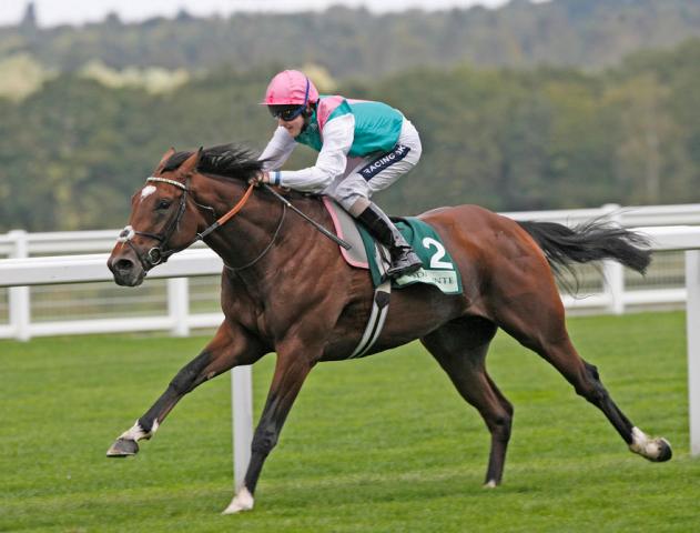 Frankel is one of the fastest racehorses in history