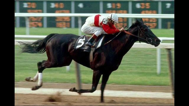 Ruffian is one of the fastest racehorses in history