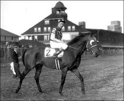 Seabiscuit is one of the fastest racehorses in history