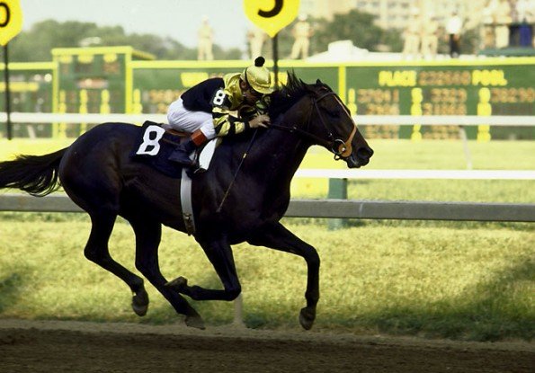Seattle Slew is one of the fastest racehorses in history