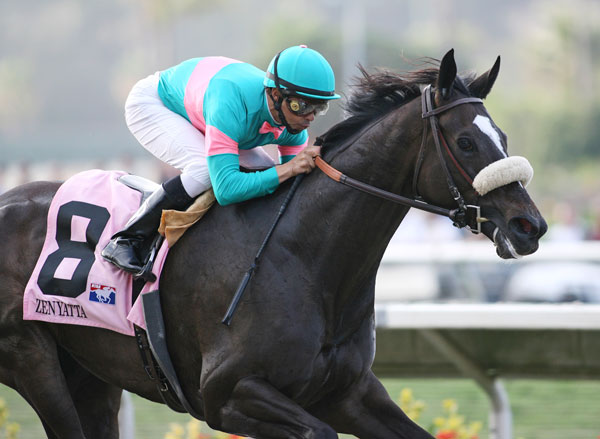 Zenyatta is one of the fastest racehorses in history