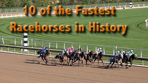 10 of the Fastest Racehorses in History