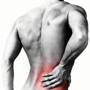 Low back and Spine can be affected by Osteoarthritis