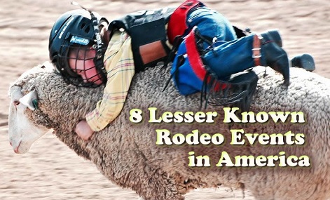 8-lesser-known-rodeo-weird-events