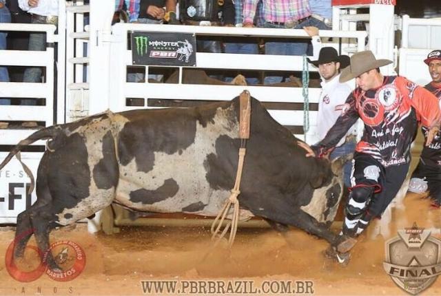 bullfighter-Lucas-Teodoro