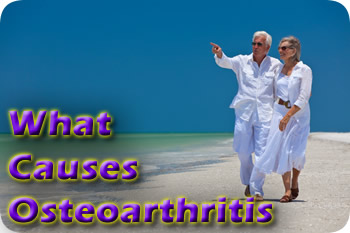 What causes osteoarthritis