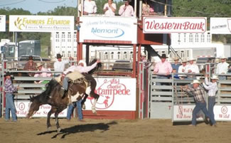 Wolf Point Wild Horse Stampede (Wolf Point, Montana)