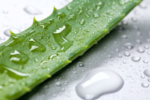 eczema-aloe-vera-heals-heal