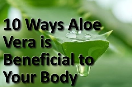 10-ways-aloe-vera-is-beneficial-to-your-body