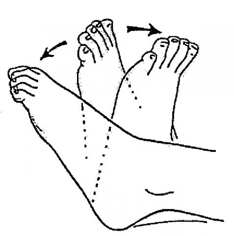 ankle-range-of-motion