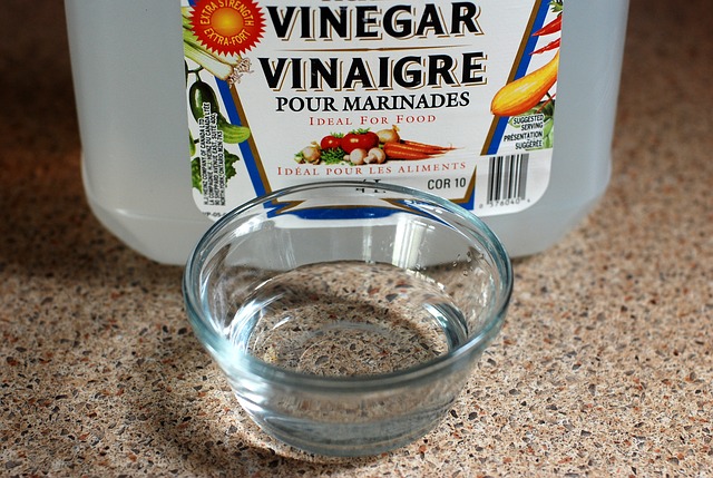 vinegar reduces bruising