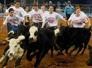 calf-scramble-rodeo
