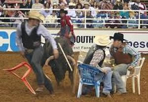 cowboy-poker-rodeo