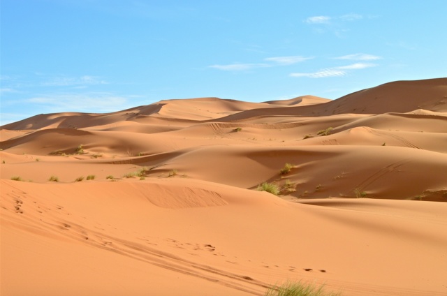 Sahara Desert Marathon