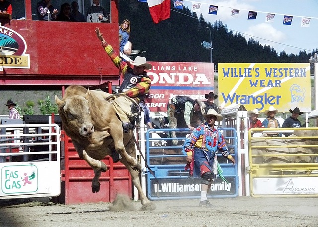 rodeos are a wild west experience